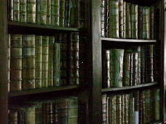 Vitruvius