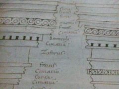 Vitruvius