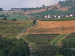 Burgund